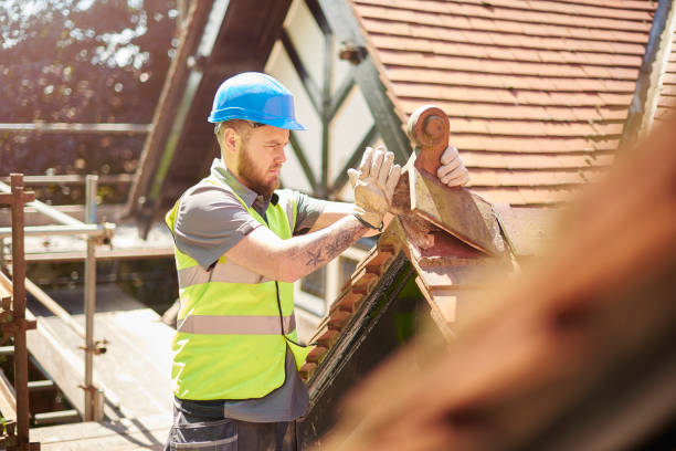 Best Roof Gutter Cleaning  in Balcones Heights, TX